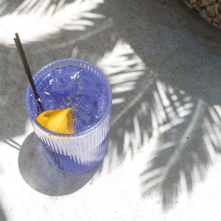 Yara Hotel - Adults Only Παλμ Σπρινγκς Εξωτερικό φωτογραφία